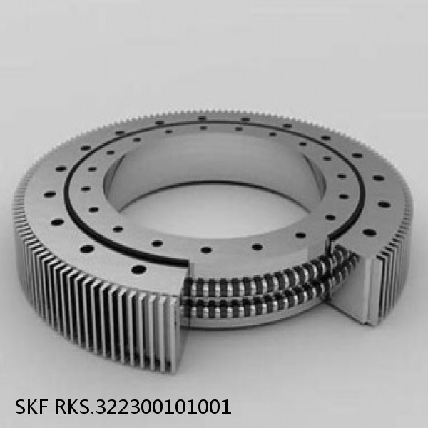 RKS.322300101001 SKF Slewing Ring Bearings