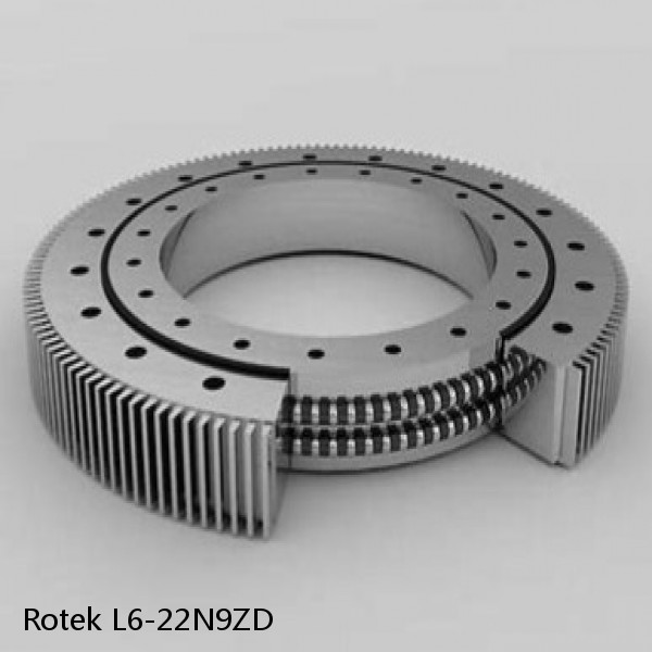 L6-22N9ZD Rotek Slewing Ring Bearings