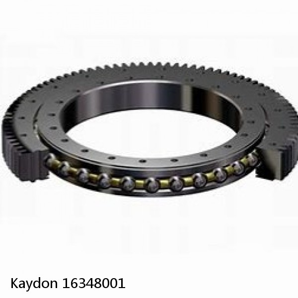 16348001 Kaydon Slewing Ring Bearings