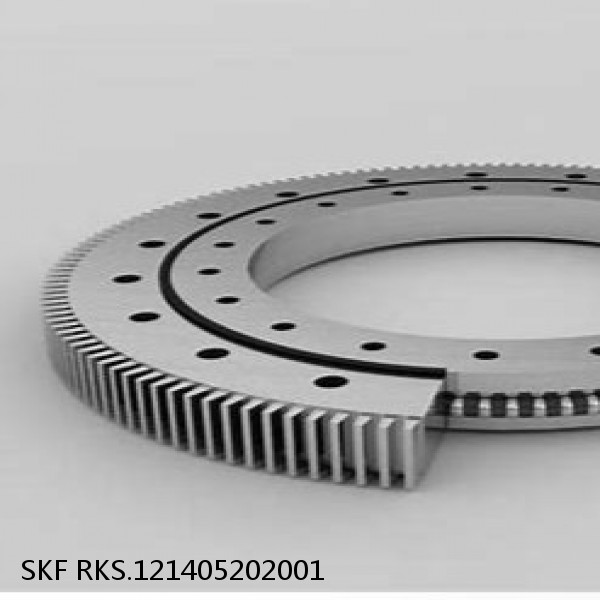 RKS.121405202001 SKF Slewing Ring Bearings #1 small image