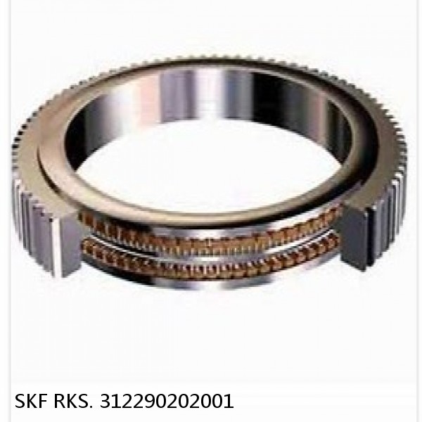 RKS. 312290202001 SKF Slewing Ring Bearings #1 small image