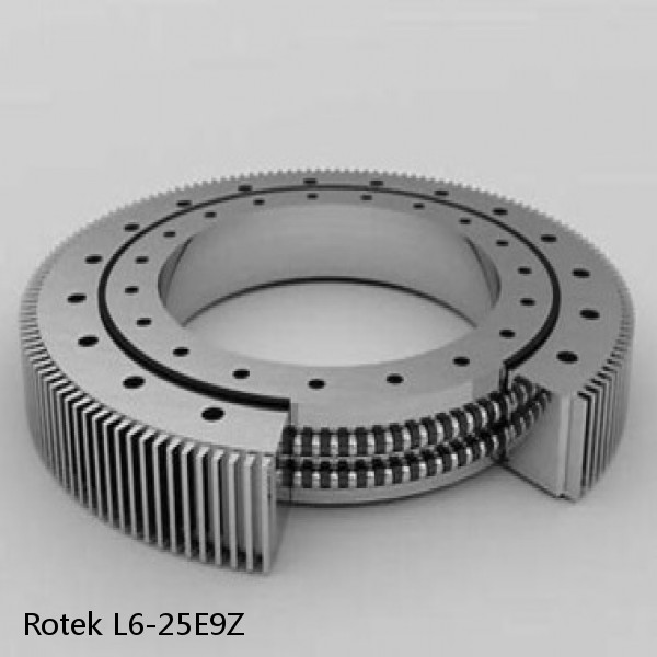L6-25E9Z Rotek Slewing Ring Bearings #1 small image