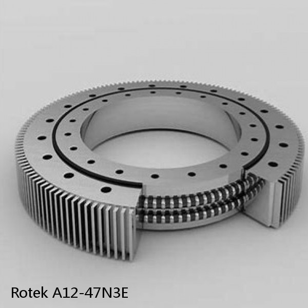 A12-47N3E Rotek Slewing Ring Bearings #1 small image
