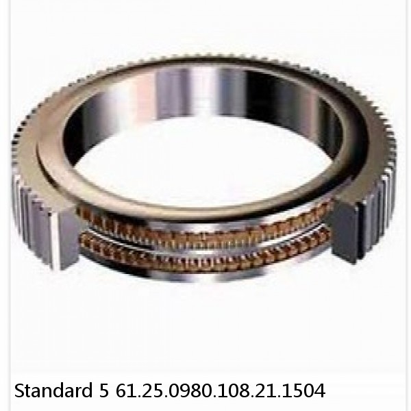 61.25.0980.108.21.1504 Standard 5 Slewing Ring Bearings #1 small image