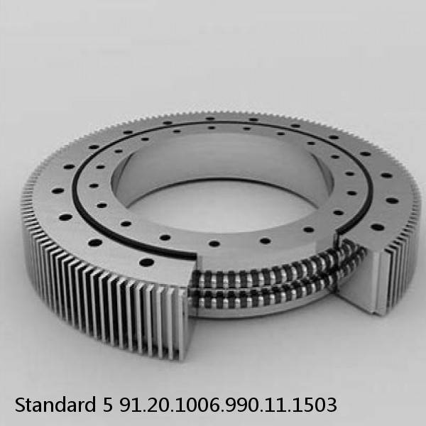 91.20.1006.990.11.1503 Standard 5 Slewing Ring Bearings #1 small image