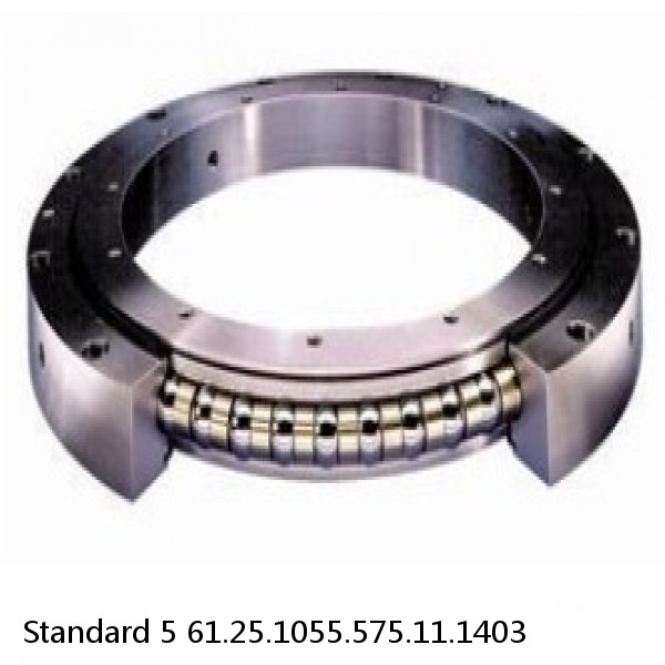 61.25.1055.575.11.1403 Standard 5 Slewing Ring Bearings #1 small image