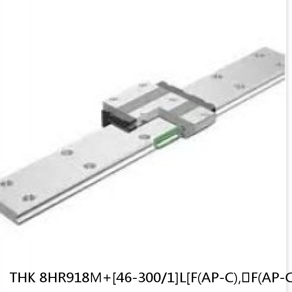 8HR918M+[46-300/1]L[F(AP-C),​F(AP-CF),​F(AP-HC)]M THK Separated Linear Guide Side Rails Set Model HR #1 small image