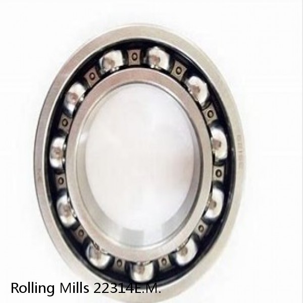 22314E.M. Rolling Mills Sealed spherical roller bearings continuous casting plants