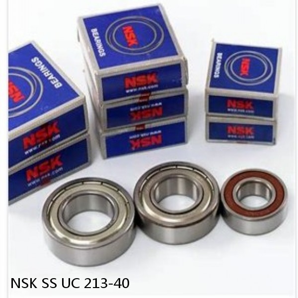 NSK SS UC 213-40 JAPAN Bearing 65x120x68.3 #1 small image