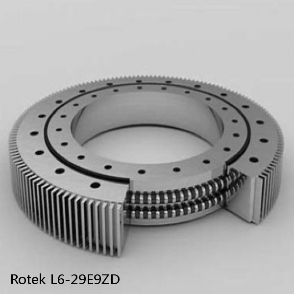 L6-29E9ZD Rotek Slewing Ring Bearings #1 image
