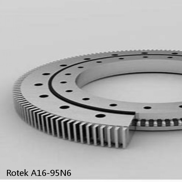 A16-95N6 Rotek Slewing Ring Bearings #1 image