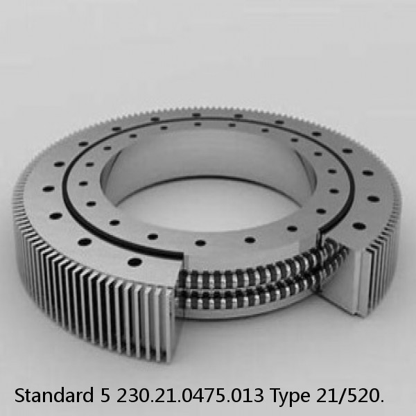 230.21.0475.013 Type 21/520. Standard 5 Slewing Ring Bearings #1 image