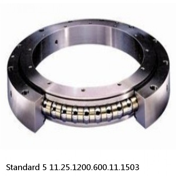 11.25.1200.600.11.1503 Standard 5 Slewing Ring Bearings #1 image
