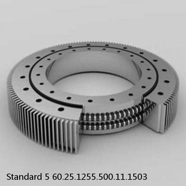 60.25.1255.500.11.1503 Standard 5 Slewing Ring Bearings #1 image