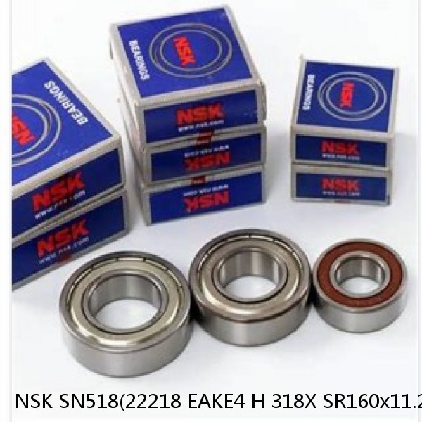 NSK SN518(22218 EAKE4 H 318X SR160x11.2 GS 18) JAPAN Bearing #1 image