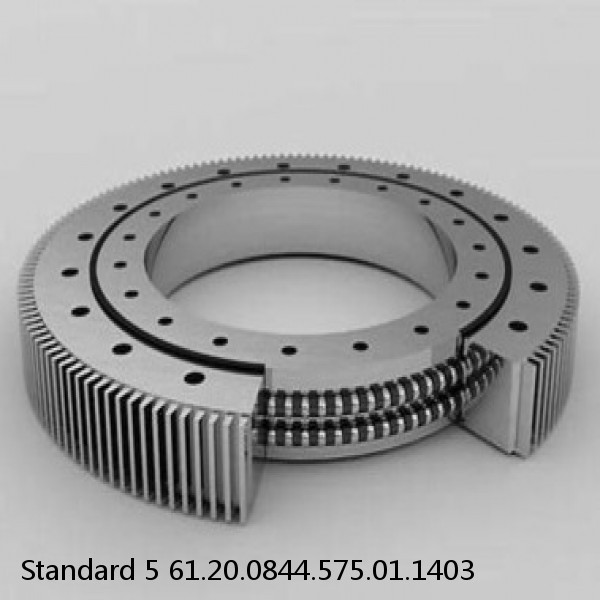 61.20.0844.575.01.1403 Standard 5 Slewing Ring Bearings #1 image